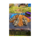 Momitor Method Feeder Preston - ICS Method Feeder XXL 75gr